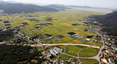 [쉿! 우리동네] 강화 섬 쌀 생산하는 드넓은 평야는 바다였다