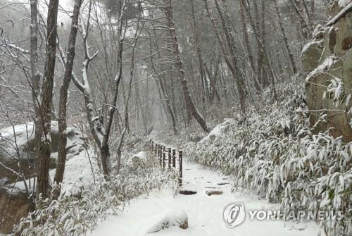 강추위 풀리자 충북 유명산·유원지 나들이객 이어져