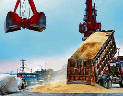 중국의 한 항구에서 브라질산 대두 하역작업이 벌어지고 있다. [브라질 일간 폴랴 지 상파울루]