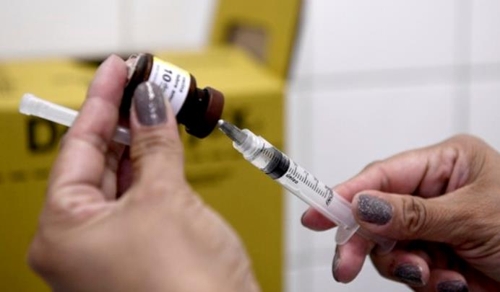 세계보건기구가 브라질 여행에 앞서 황열병 백신 접종을 권고했다. [브라질 뉴스포털 G1]