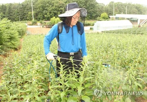 농약 뿌리는 농부