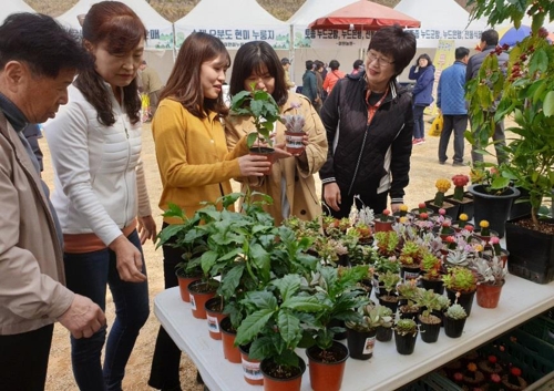 [카메라뉴스] "봄꽃 구경할까'…옥천 묘목 축제 '성황'