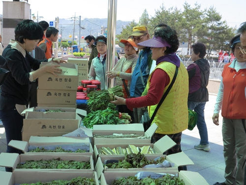 '고소한 옻순 맛보세요'…26∼28일 옥천참옻축제