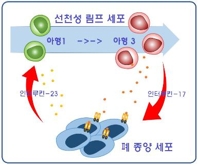 폐암세포 성장 과정 밝혔다…면역치료 새로운 표적 제시