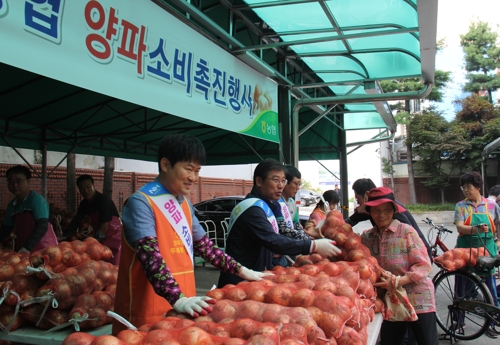 햇양파 직거래 장터
