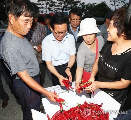 괴산 고추축제 때 팔 건고추 값 600g 1만3천원…작년보다 28%↓