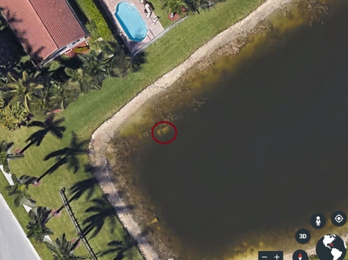 미국 플로리다의 한 호수에 가라앉은 22년 전 실종 남성 승용차 / 구글어스 캡처