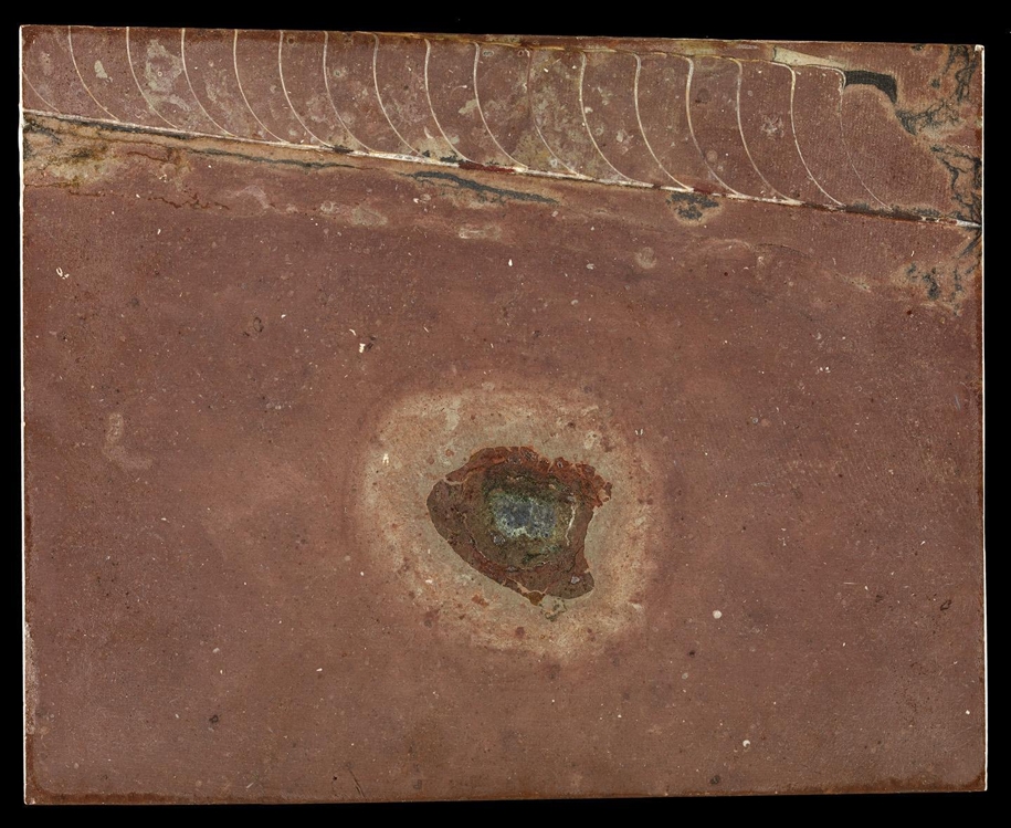스웨덴 석회암 채석장에서 발견된 운석 화석(중앙) 