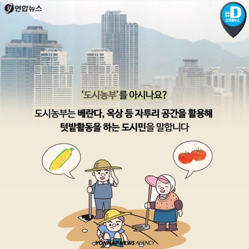 [카드뉴스]서울 한복판에서 도시농부가 되려면? - 2