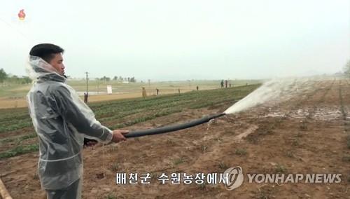 가뭄 피해 전하는 북한 TV