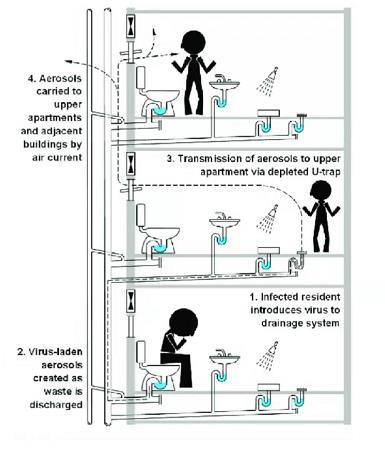 하수도관을 통한 바이러스 전파가능성 