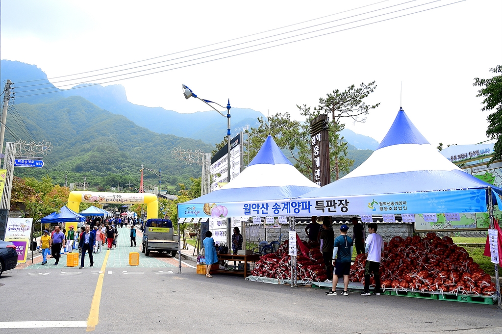 지난해 열린 양파축제