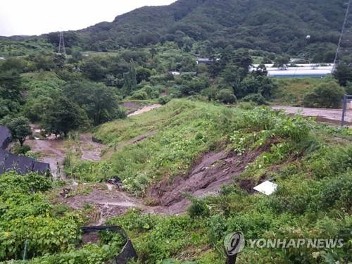 범람 위기 맞은 자모소류지 둑