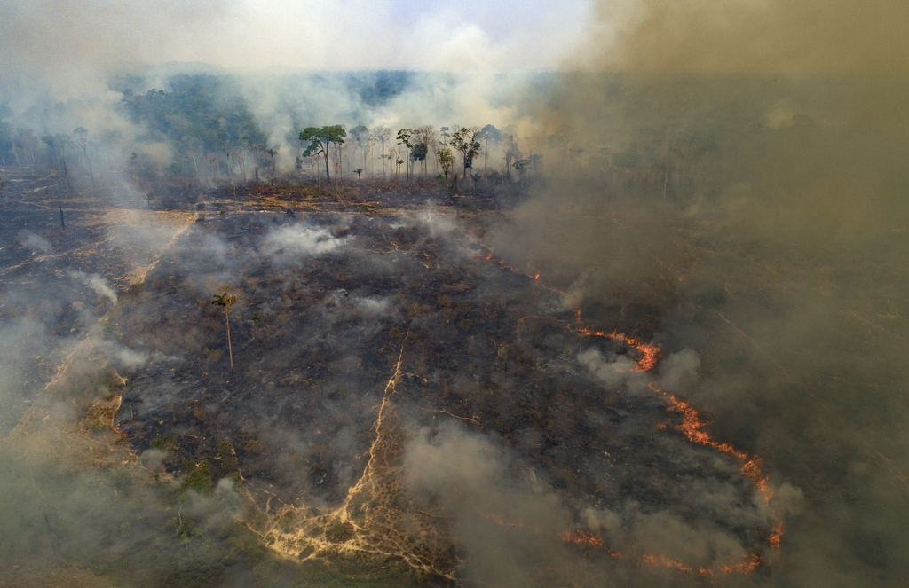 불타는 아마존. 2020.8.23