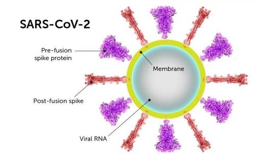 Longer COVID-19 treatment may lead to new corona mutations
