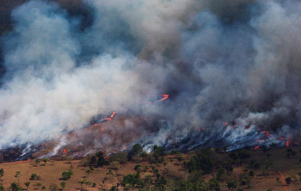 불타는 아마존 열대우림 [세계자연기금(WWF) 브라질 지부]