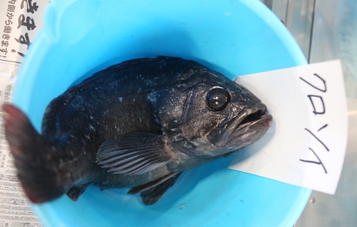 [원전사고 10년] "후쿠시마 생선 문제없다" 강변…오염수 찬반 팽팽