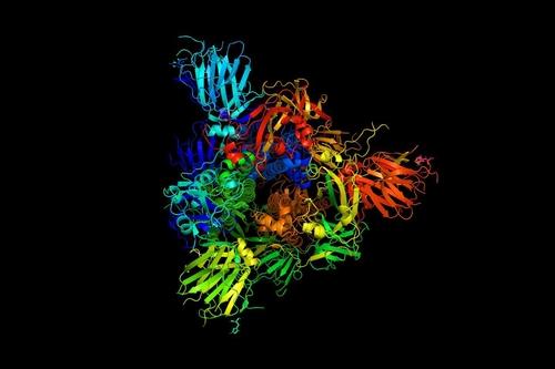 끝없이 진동하는 스파이크 단백질 이미지