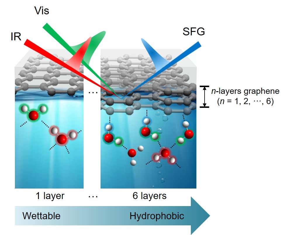 그래핀-물 계면에서 물 분자의 수소 결합 구조