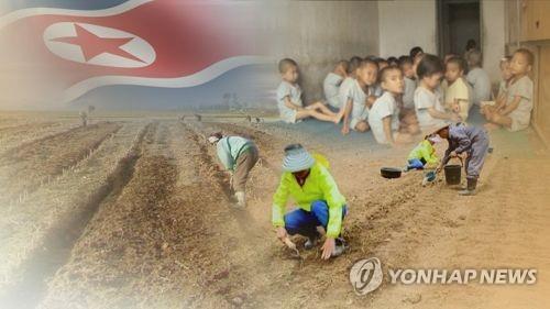 북한 식량난(CG). [연합뉴스TV 제공]