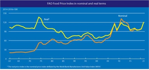 세계식량가격지수 약 1년만에 하락…"미국 기상여건 개선 영향"
