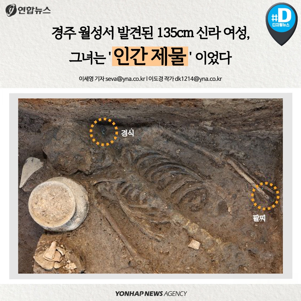 [카드뉴스] 경주 월성서 발견된 135cm 신라 여성, '인간 제물'? - 1