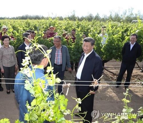 시진핑 "중국 밥그릇은 중국 곡물로"…식량안보 강조