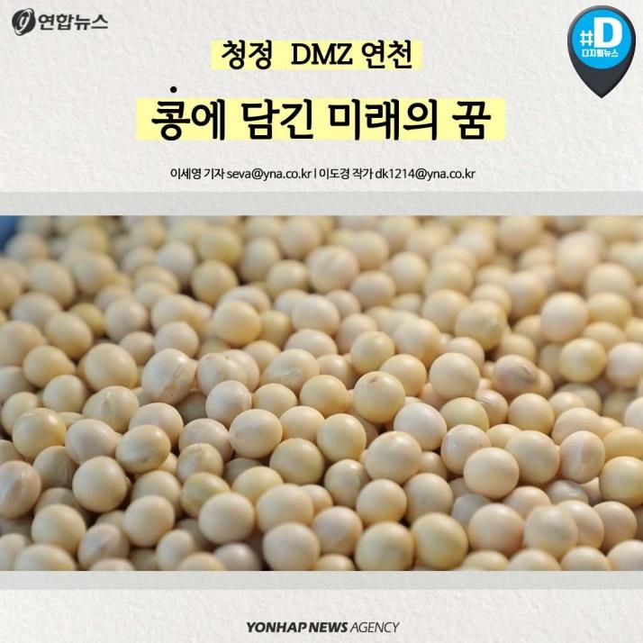 [카드뉴스] '청정 DMZ' 연천의 희망, 콩 심은데 꿈 난다! - 1