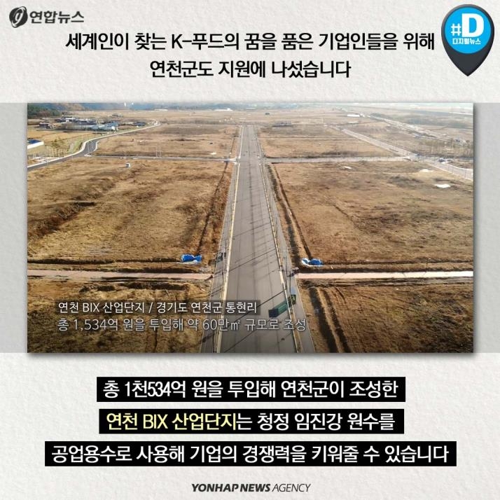 [카드뉴스] '청정 DMZ' 연천의 희망, 콩 심은데 꿈 난다! - 10