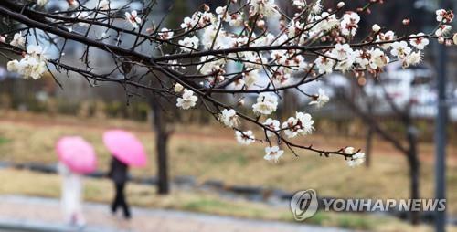충북 오후부터 비 소식…낮 최고 16~19도