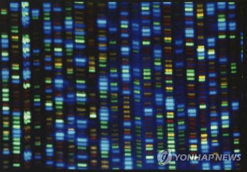 DNA 염기서열 분석 결과 
