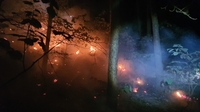 가평 화엄산 애기봉서 산불…산림 1.05㏊ 태워