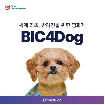 부산콘텐츠마켓 2022 'BiC4DOG'