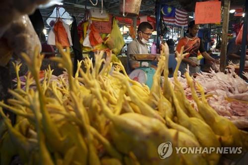"말레이시아, 닭고기 수출금지 일부 완화…비싼 품종만 허용"