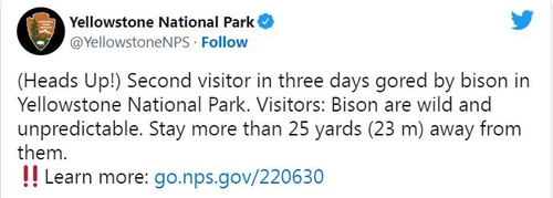 바이슨에 대한 경고 내용을 담은 옐로스톤국립공원 트위터