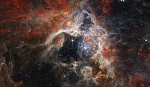 웹 망원경이 우주 독거미 안에서 찾아낸 수만개의 젊은 별