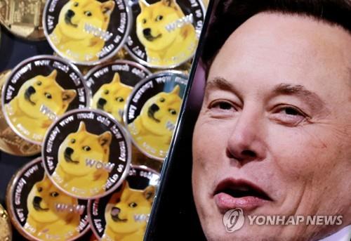 도지코인 이미지와 일론 머스크 테슬라 최고경영자(CEO)