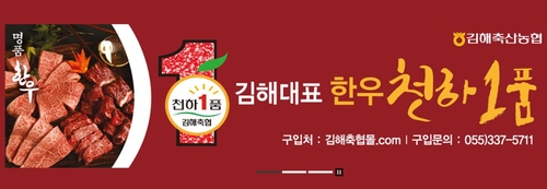 김해시, 한우축제 대신 소비 촉진 할인행사…29일부터 5일간