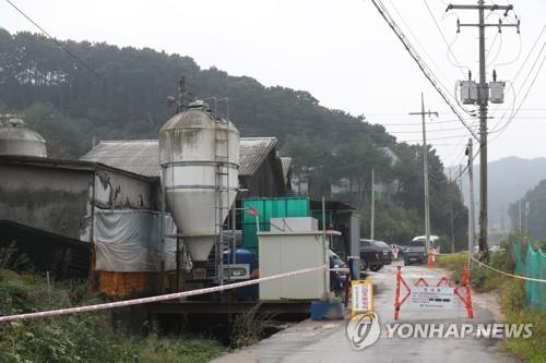 3년 만에 김포·파주서 ASF 동시 발생…경기도 '당혹'(종합)