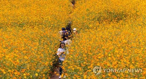 충북 맑고 낮 최고 28도…"환절기 건강 관리 유의"