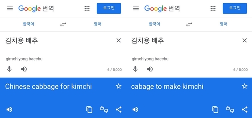 구글, '김치용 배추' 영어 번역에서 'Chinese' 뺐다