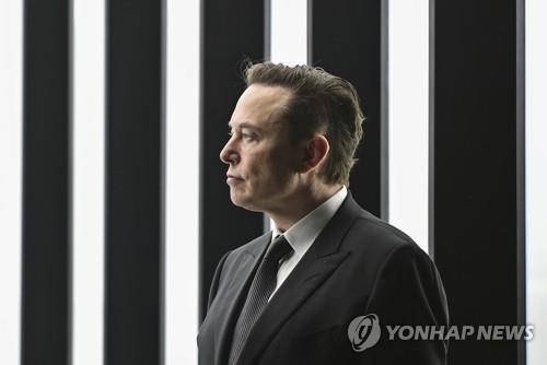 테슬라 최고경영자 일론 머스크 