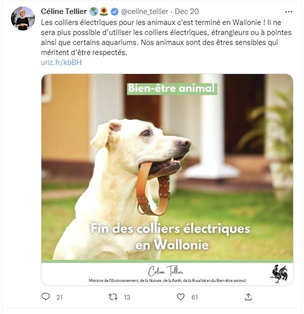 '동물권도 중요'…벨기에 지방정부, 개 짖음 방지 목줄 등 금지