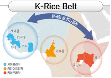 K-Rice Belt
