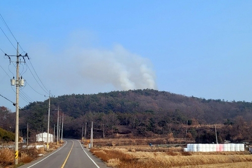전남 고흥 야산서 불…인명피해 없어(종합)