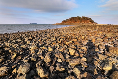 굵은 돌이 널려 있는 도지섬 서쪽 해변. 육계사주 맞은 편에 국화도가 있다. [사진/진성철 기자] 