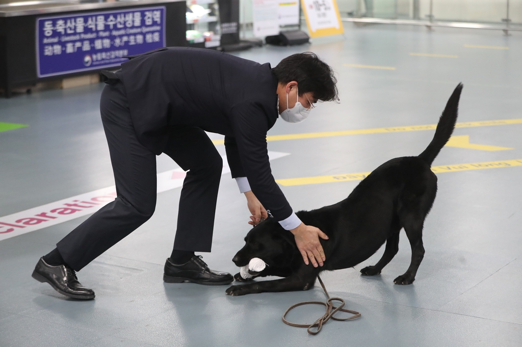 업무 뒤 장난감을 보상으로 받은 알렉산더