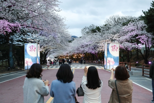 렛츠런파크 서울 벚꽃축제, 내달 1일부터 4년 만에 개최