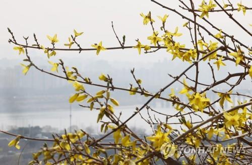봄, 미세먼지 기승