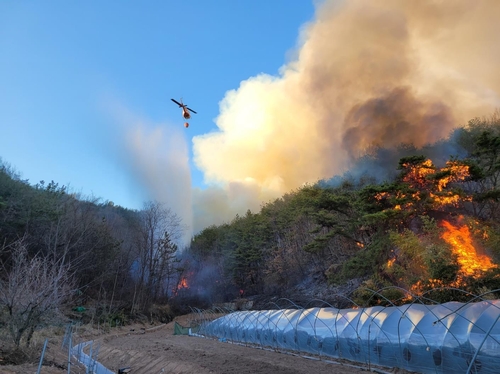 산불 진화